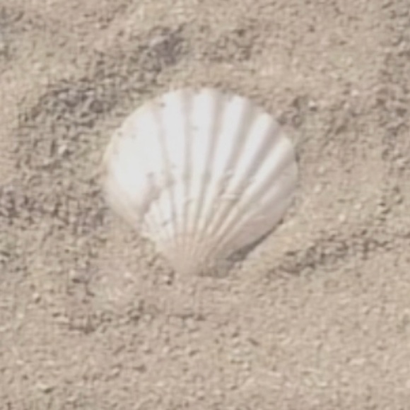 Meet your Posher, Blush - Picture 1 of 1